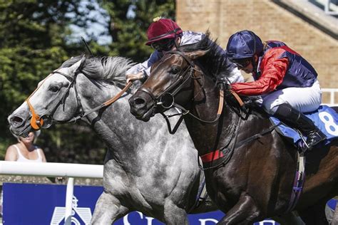 fast horse results today|Today's Results .